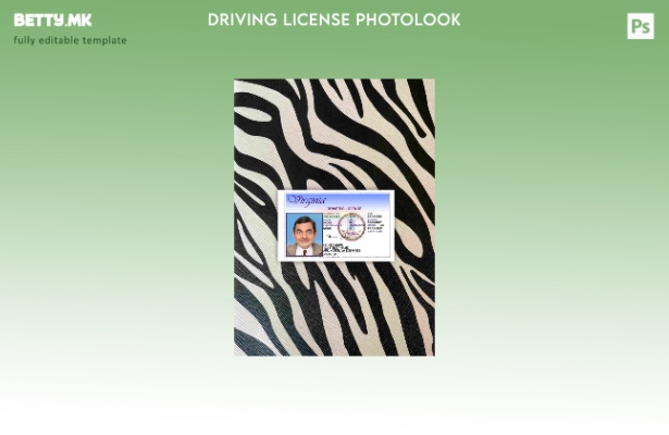 модерен стил USA Virgina DL верзија photolook шаблон FRONT